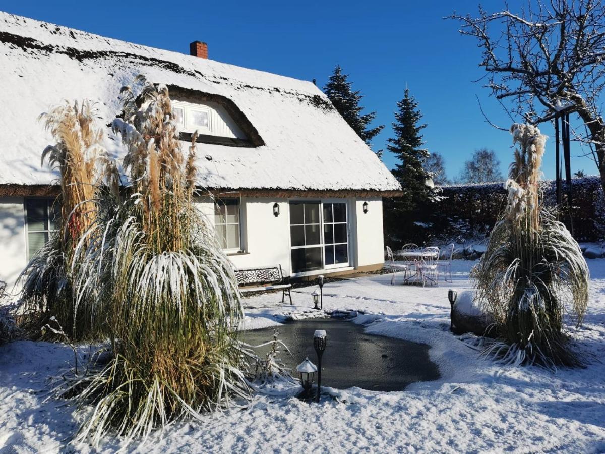 Reetferienhaus - Schaprode Hafen ภายนอก รูปภาพ